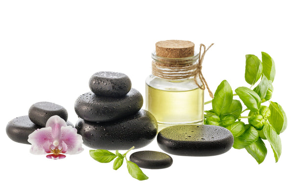 Ancestral Essences: The Living Aromas of Inca Culture