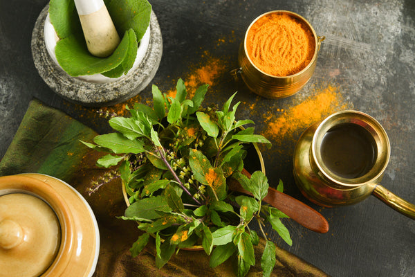 Andean Gourmet: Sensory Code of the Andes