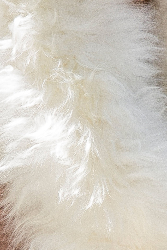 100% Baby Alpaca Fur Scarf ~ Natural Fiber Wrap for Women ~ Off White - Princesa Inca®